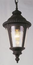  5049 BK - Commons 17" Hanging Lantern